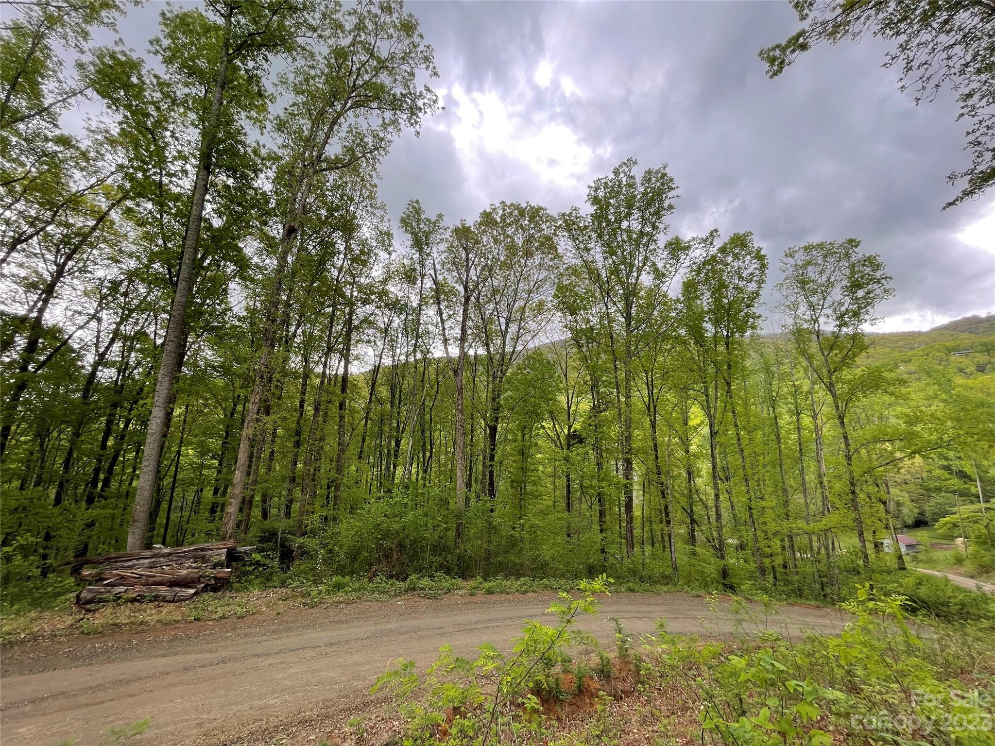 99999 Lytle Cove Road Swannanoa NC 28711
