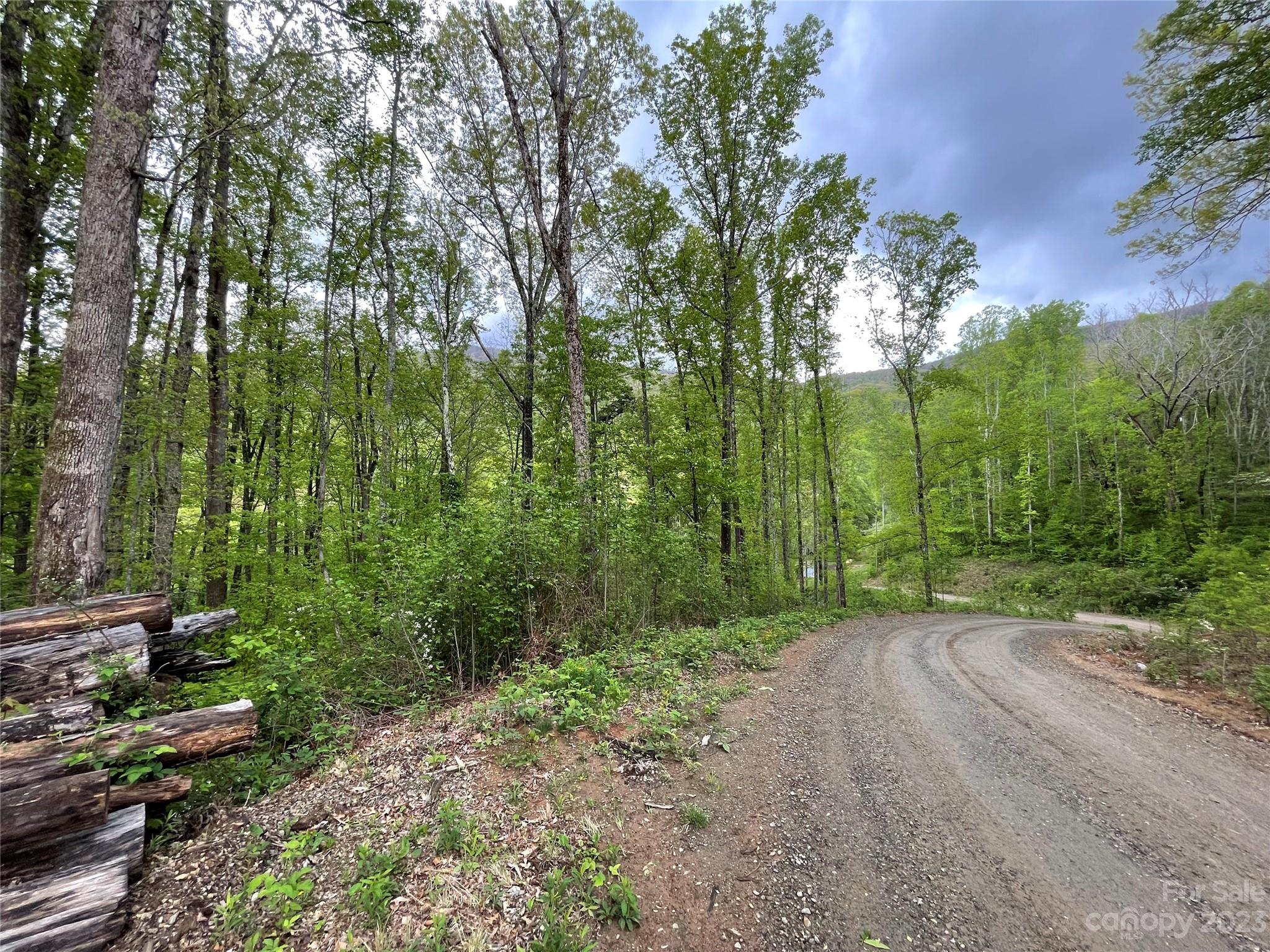 99999 Lytle Cove Road Swannanoa NC 28711