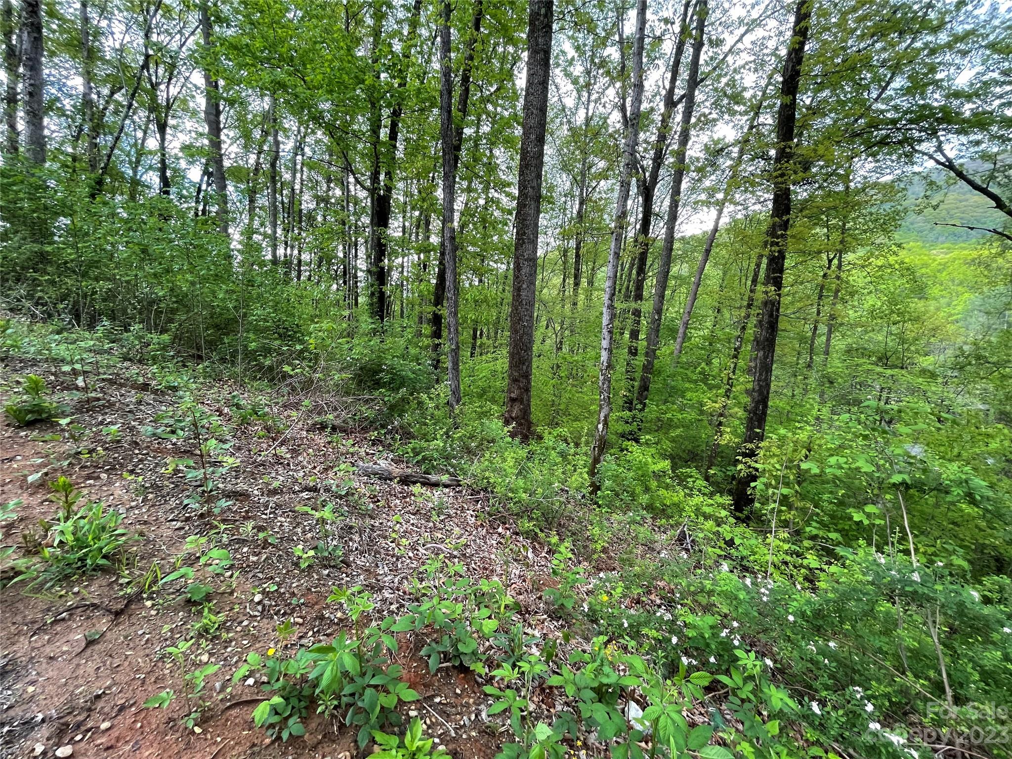 99999 Lytle Cove Road Swannanoa NC 28711
