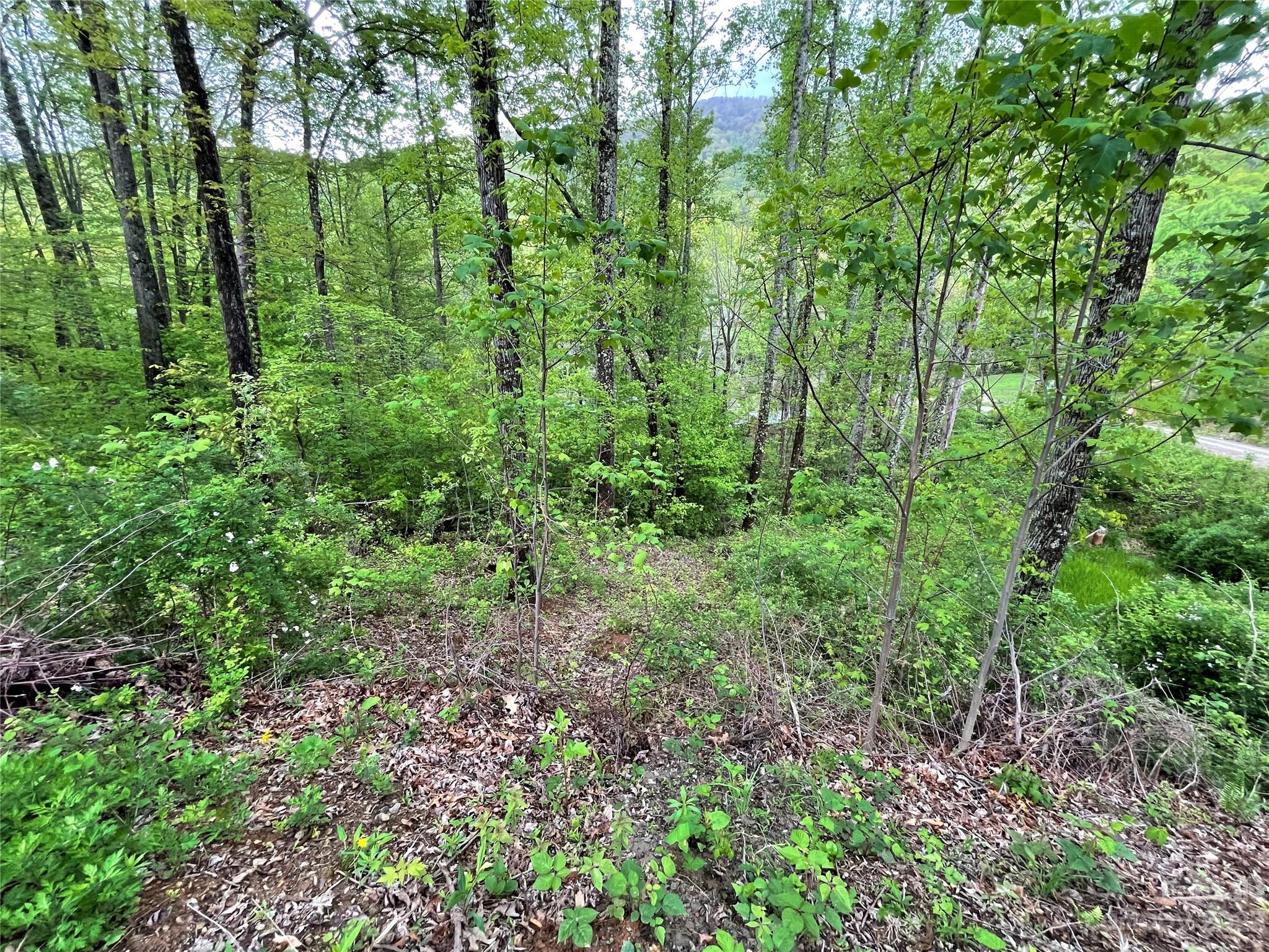 99999 Lytle Cove Road Swannanoa NC 28711