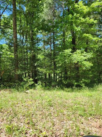 9 Tadpole Lane Taylorsville NC 28681
