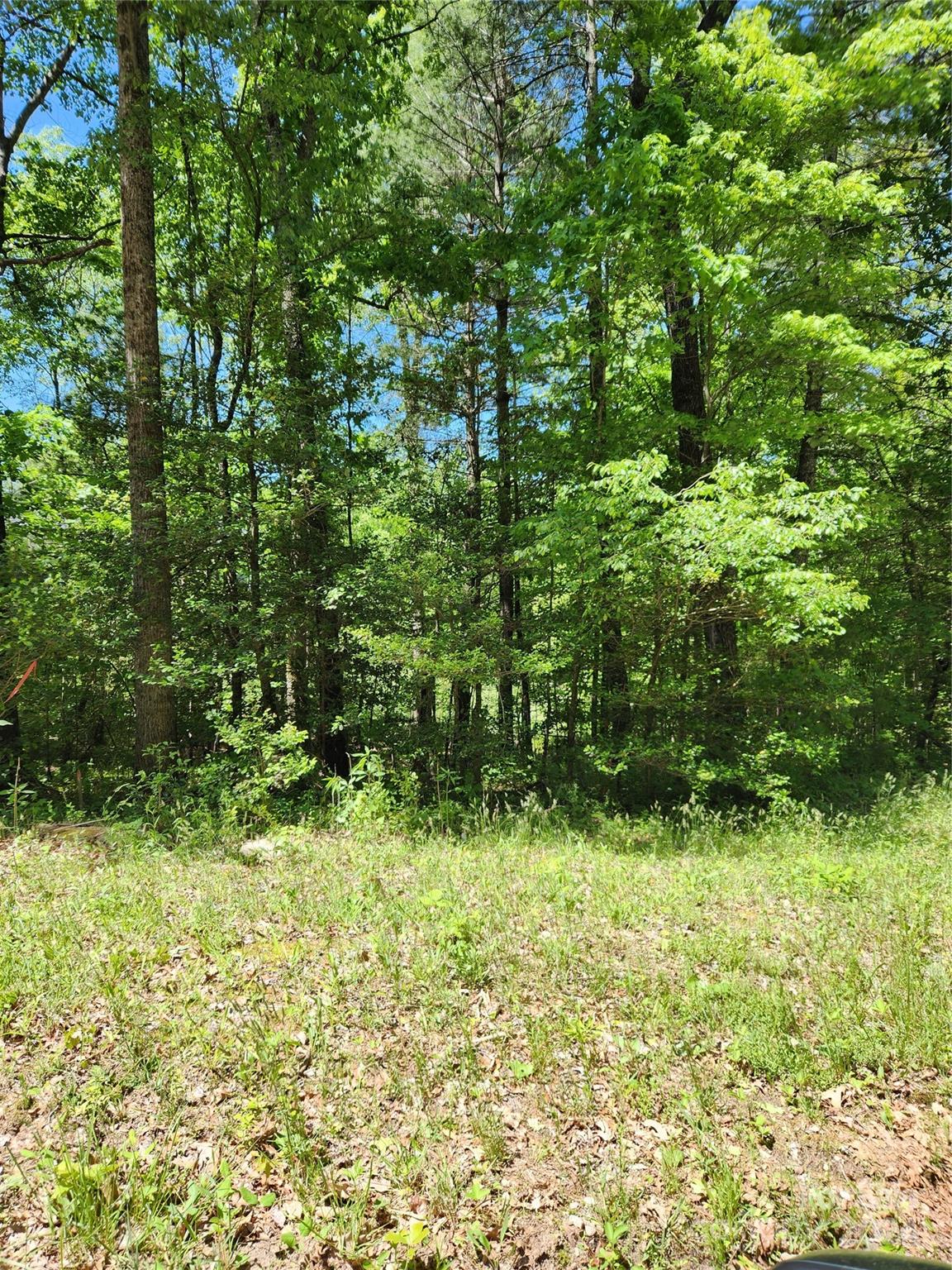 9 Tadpole Lane Taylorsville NC 28681