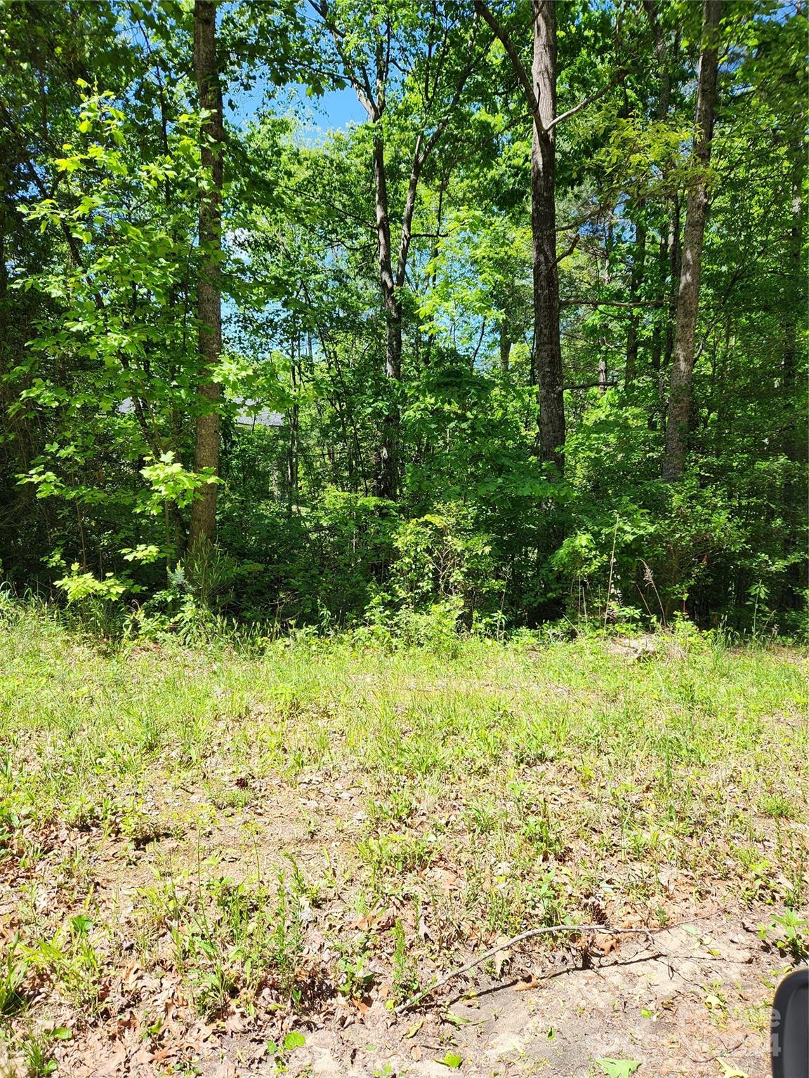 9 Tadpole Lane Taylorsville NC 28681