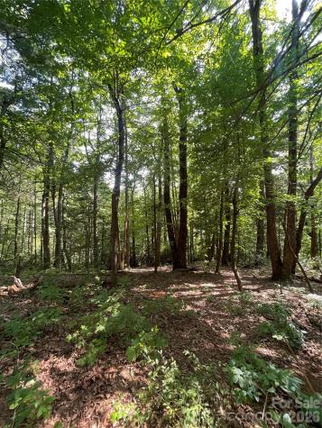 Lot # 21 Haverhill Court Flat Rock NC 28731