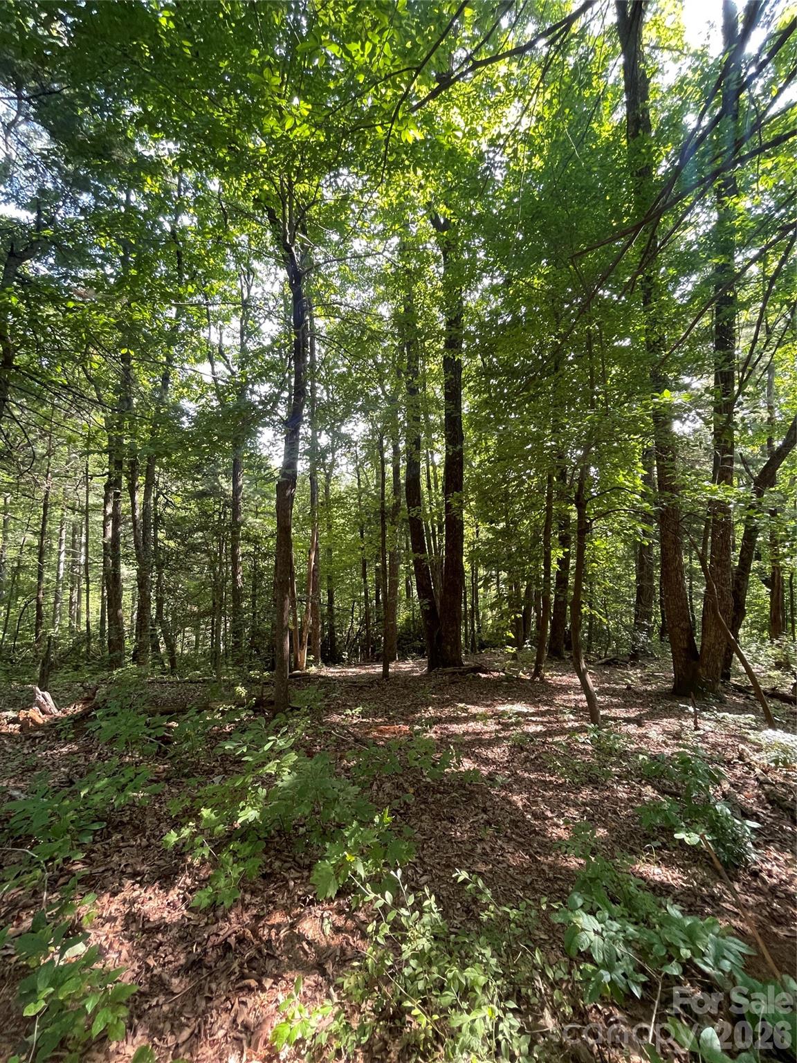 Lot # 21 Haverhill Court Flat Rock NC 28731