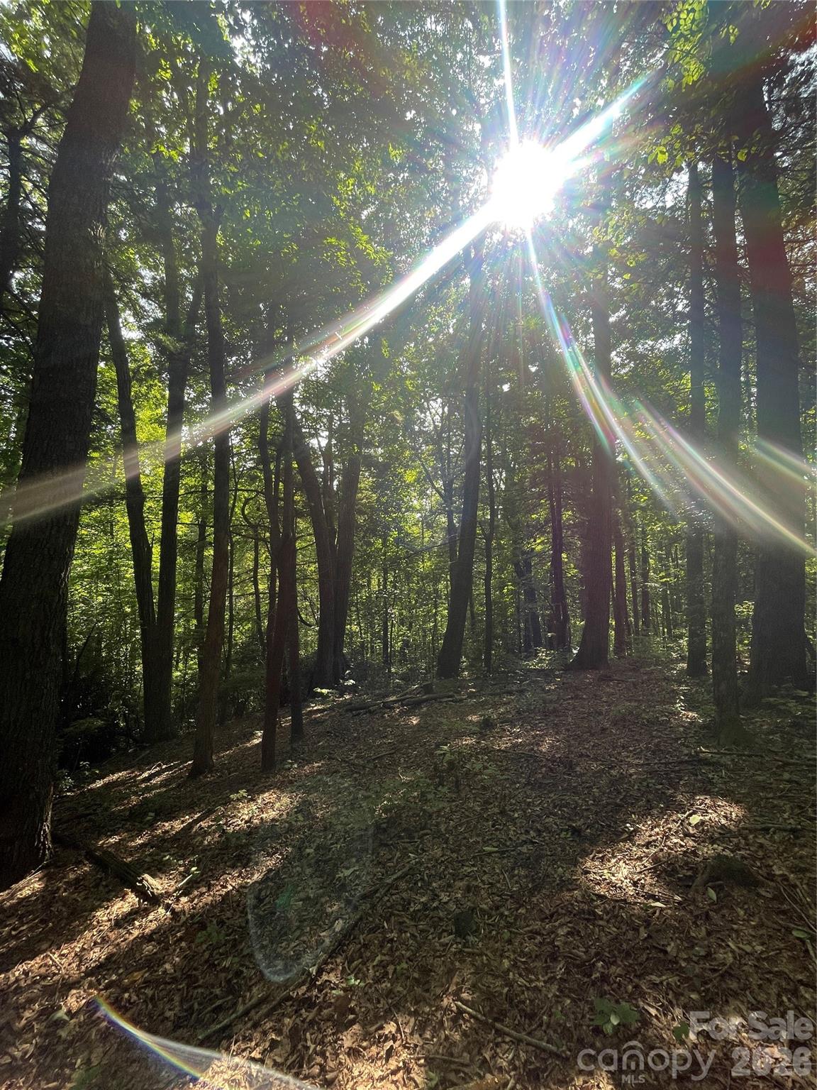 Lot # 21 Haverhill Court Flat Rock NC 28731