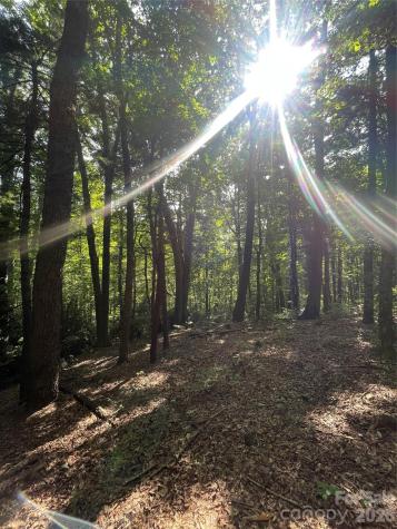 Lot # 21 Haverhill Court Flat Rock NC 28731