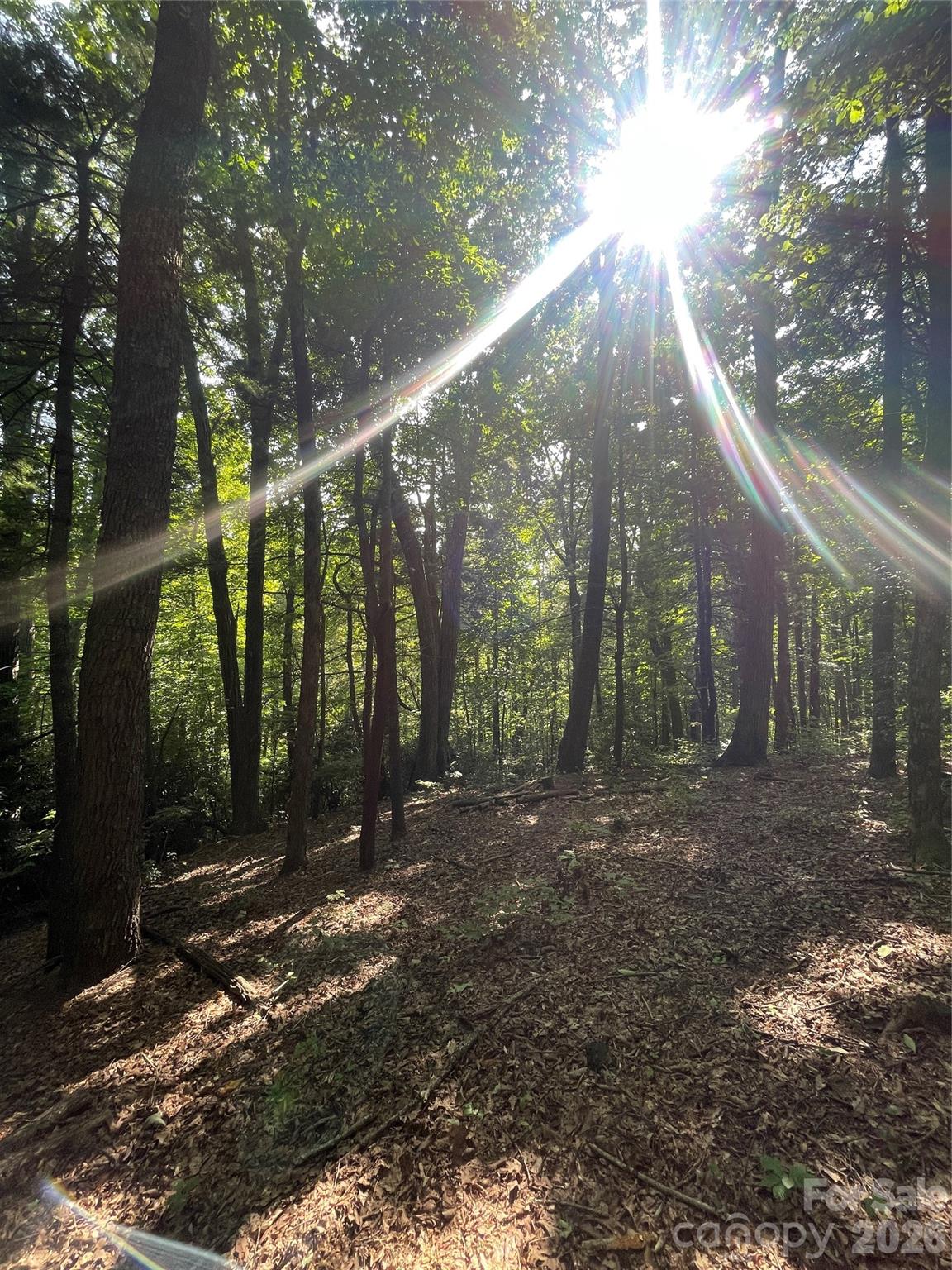 Lot # 21 Haverhill Court Flat Rock NC 28731