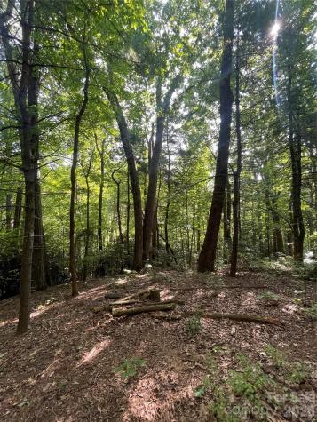 Lot # 21 Haverhill Court Flat Rock NC 28731