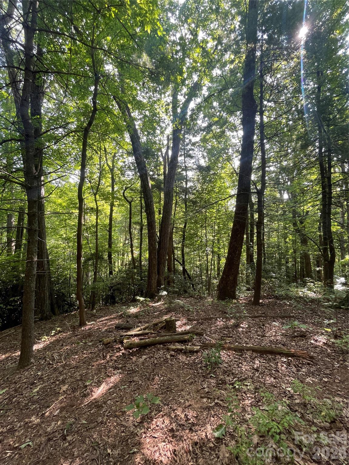 Lot # 21 Haverhill Court Flat Rock NC 28731