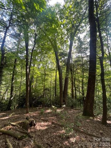 Lot # 21 Haverhill Court Flat Rock NC 28731
