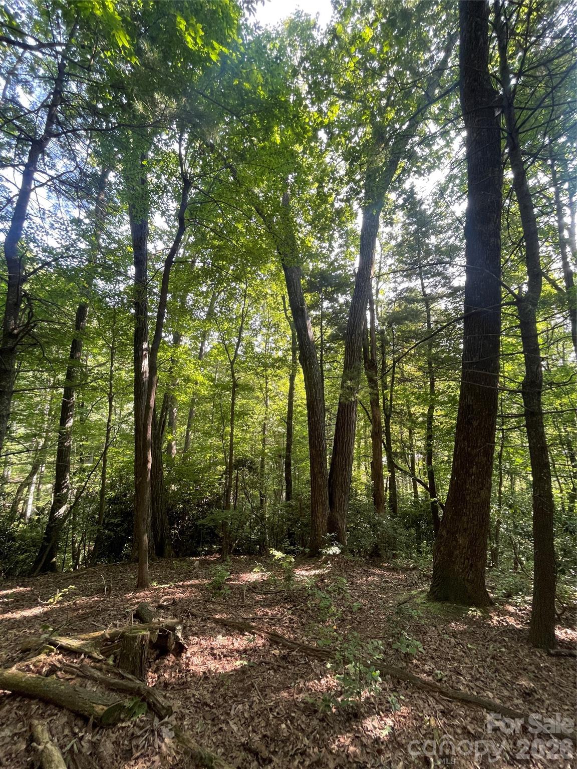 Lot # 21 Haverhill Court Flat Rock NC 28731