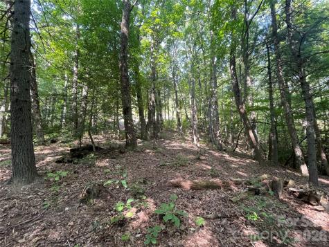 Lot # 21 Haverhill Court Flat Rock NC 28731