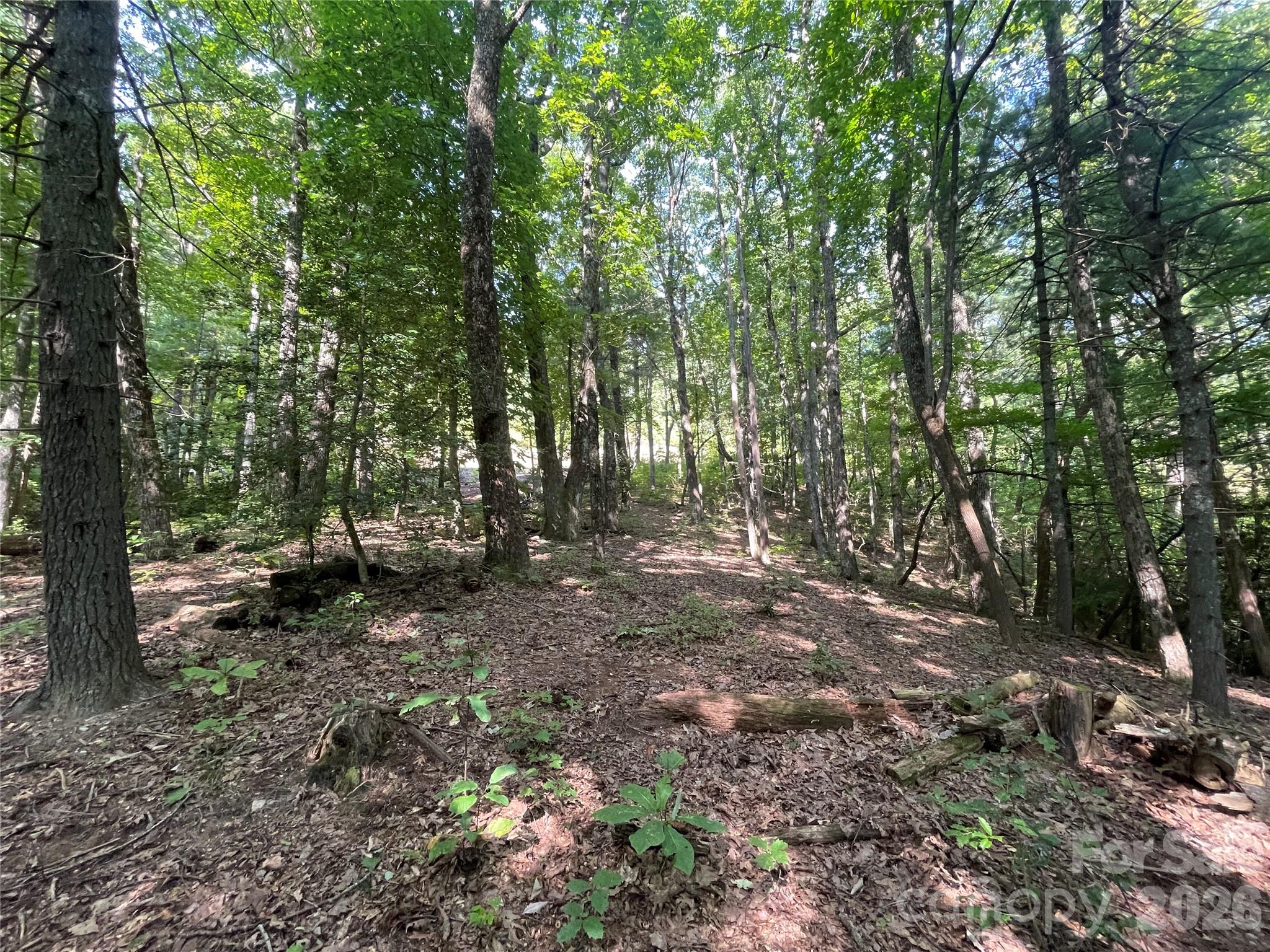 Lot # 21 Haverhill Court Flat Rock NC 28731