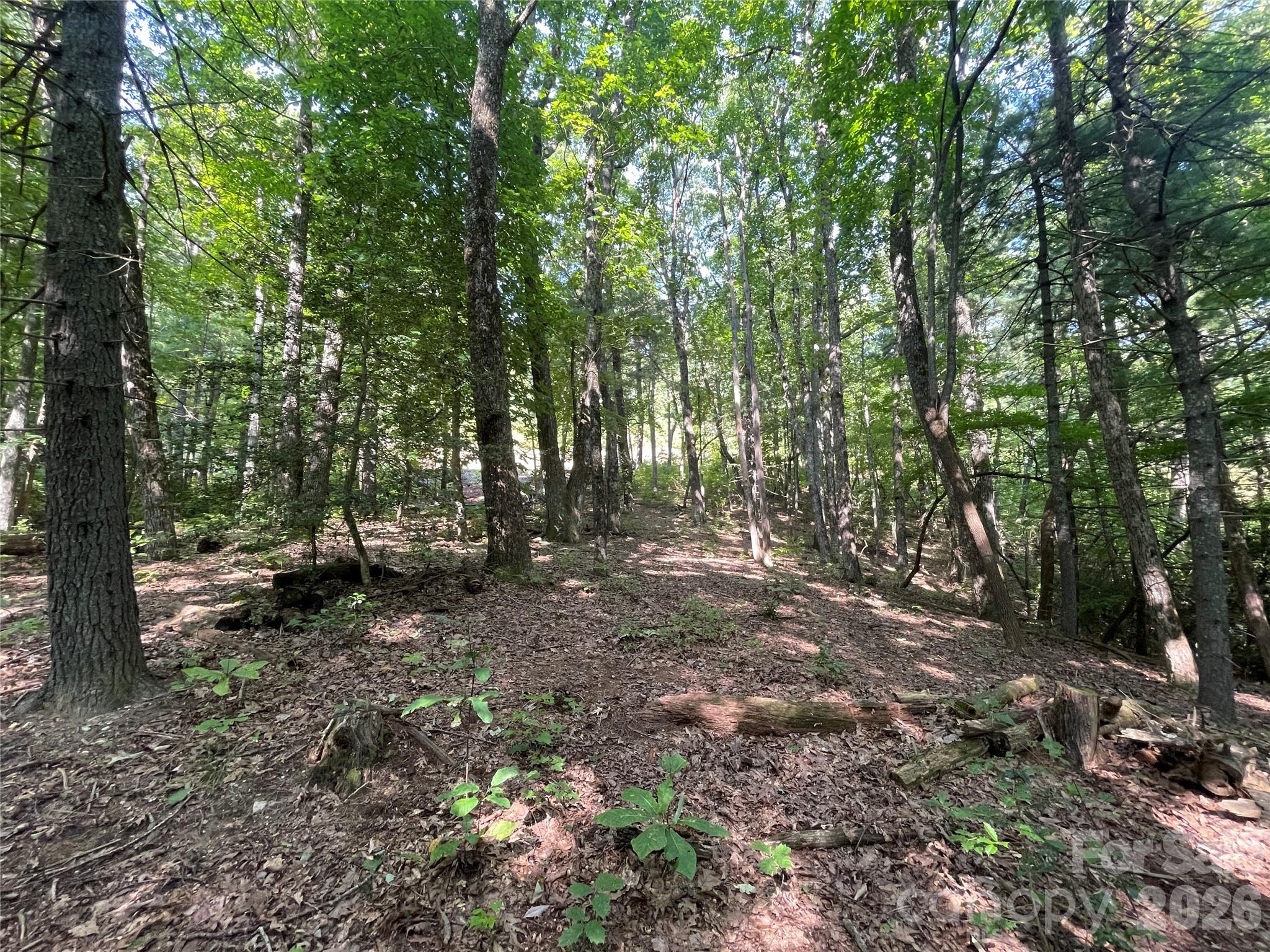 Lot # 21 Haverhill Court Flat Rock NC 28731