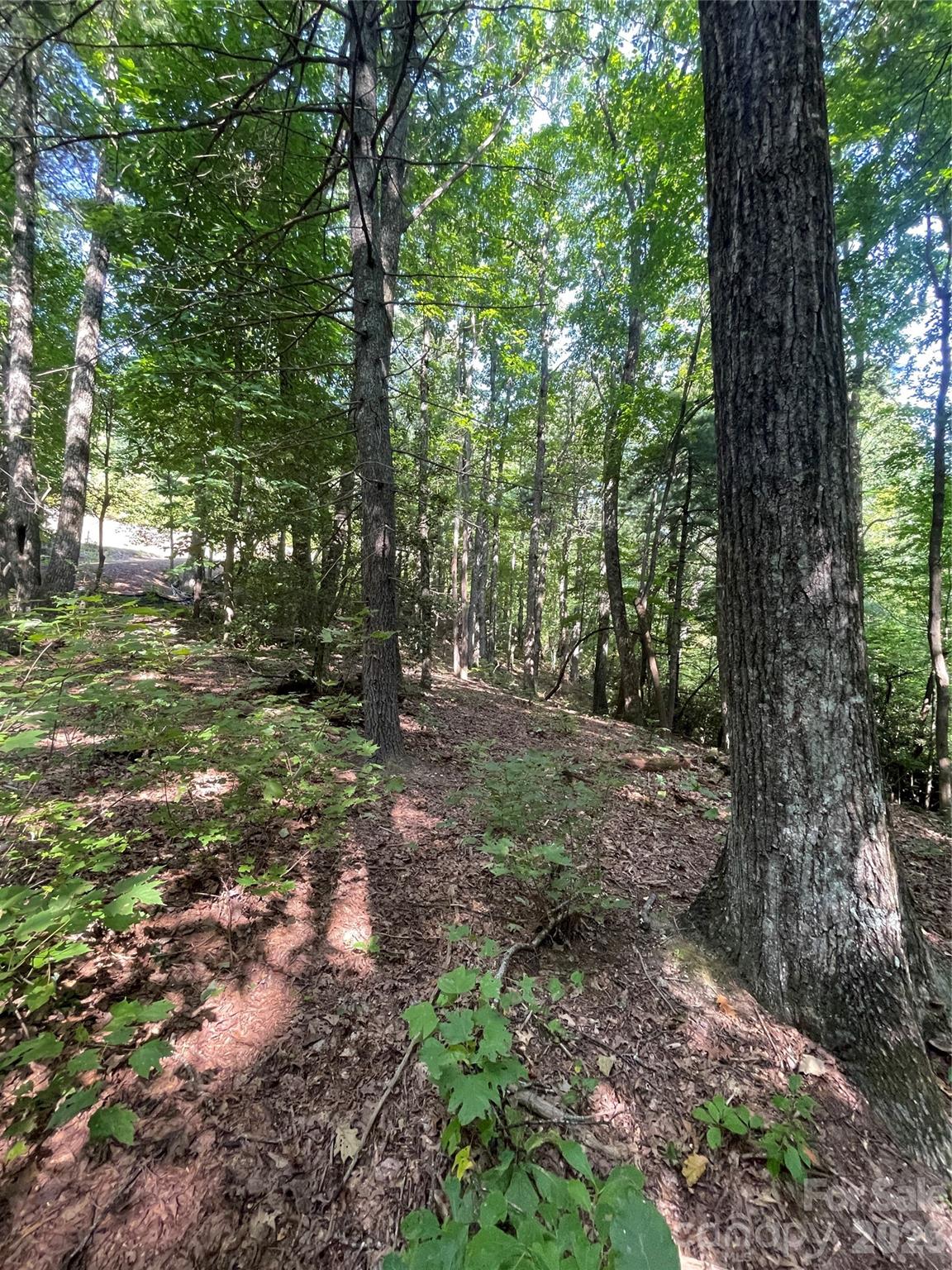 Lot # 21 Haverhill Court Flat Rock NC 28731