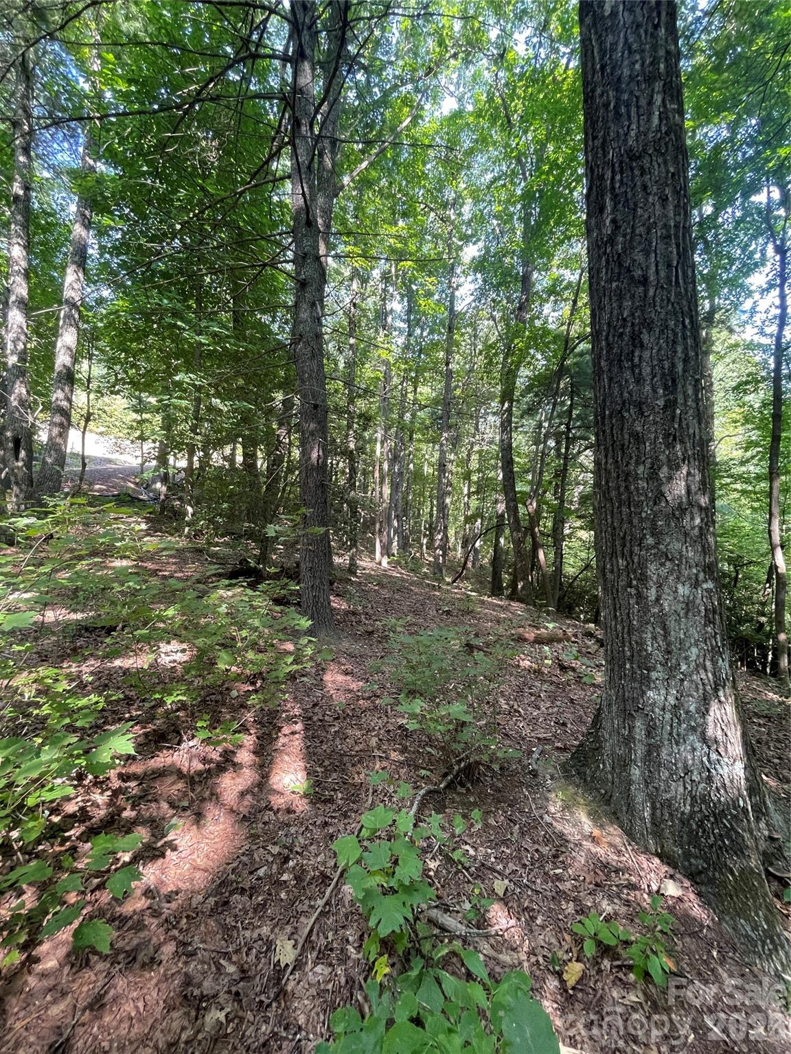 Lot # 21 Haverhill Court Flat Rock NC 28731