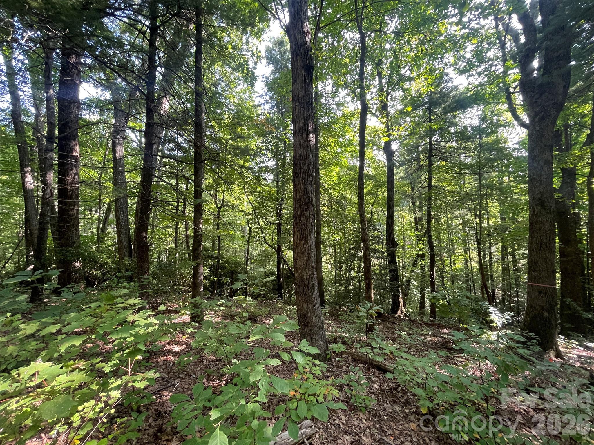 Lot # 21 Haverhill Court Flat Rock NC 28731