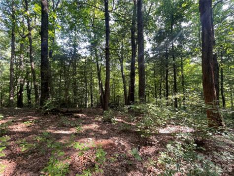 Lot # 21 Haverhill Court Flat Rock NC 28731