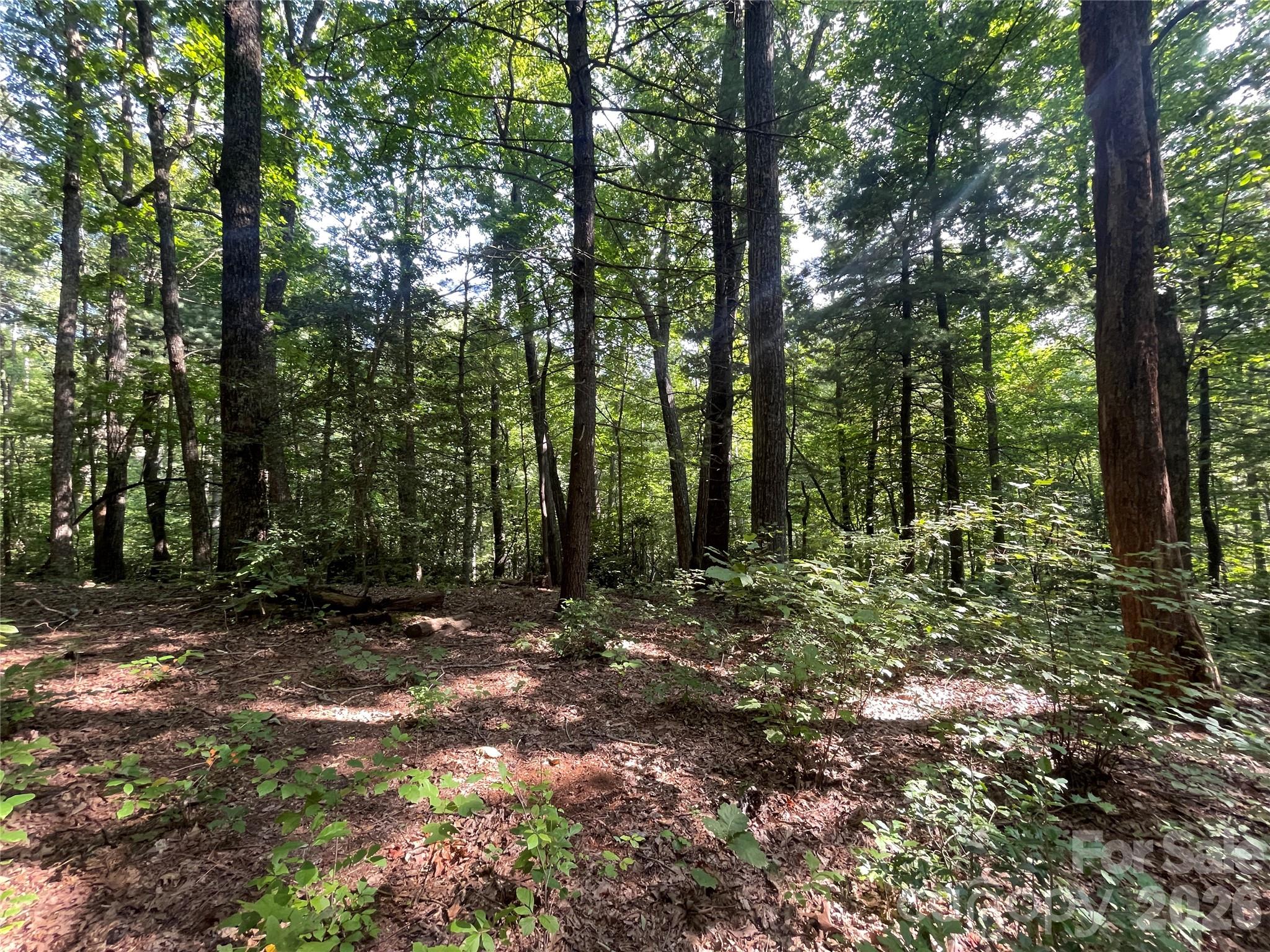 Lot # 21 Haverhill Court Flat Rock NC 28731