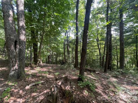 Lot # 21 Haverhill Court Flat Rock NC 28731