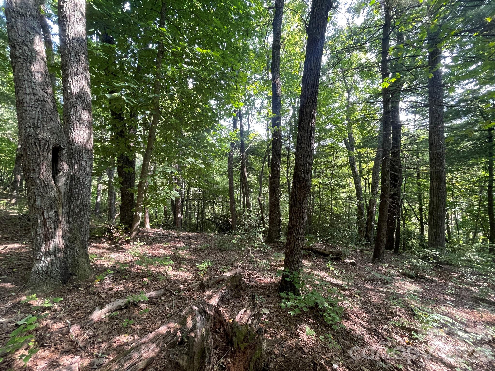 Lot # 21 Haverhill Court Flat Rock NC 28731
