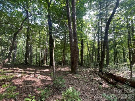 Lot # 21 Haverhill Court Flat Rock NC 28731