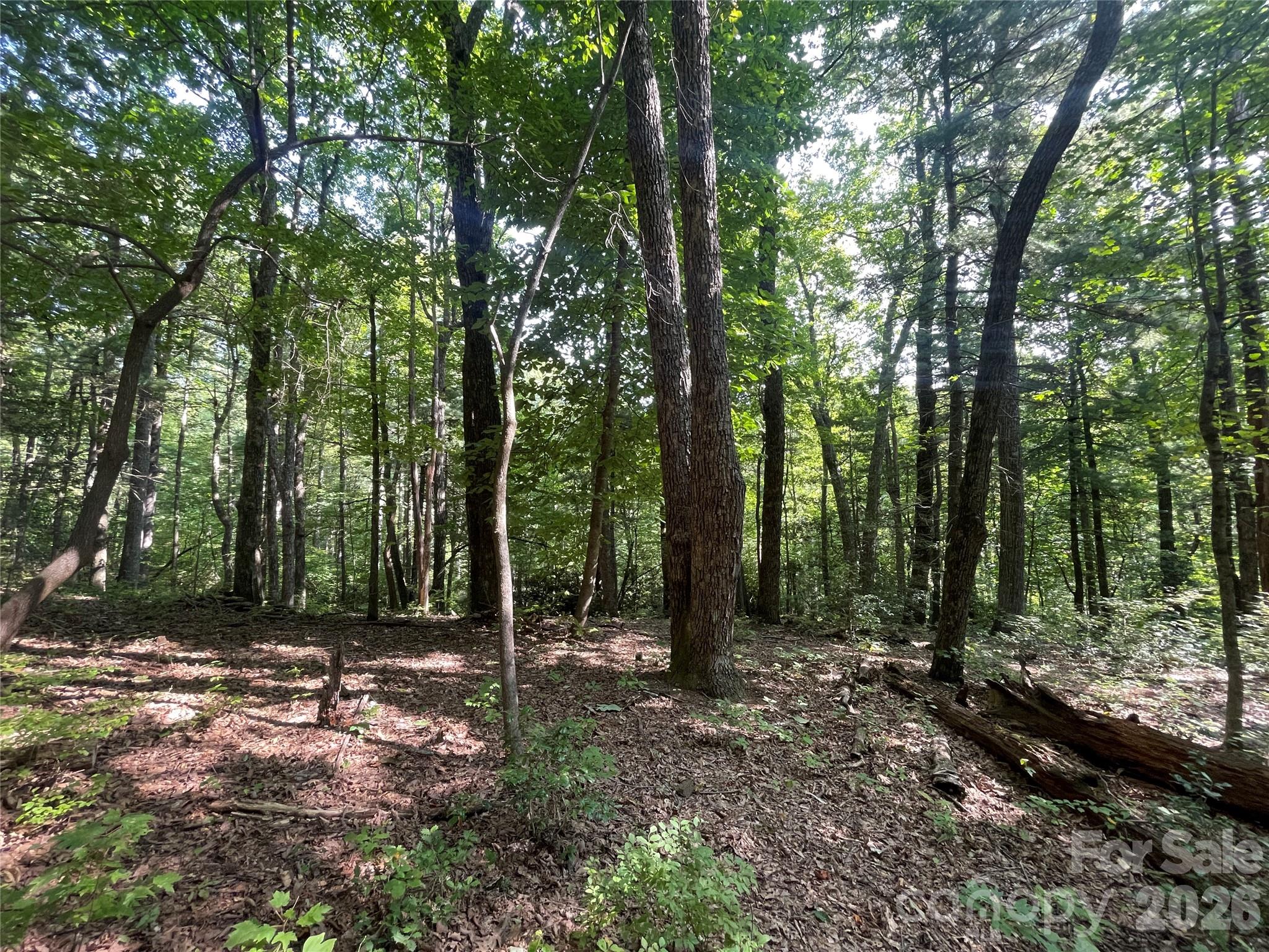 Lot # 21 Haverhill Court Flat Rock NC 28731