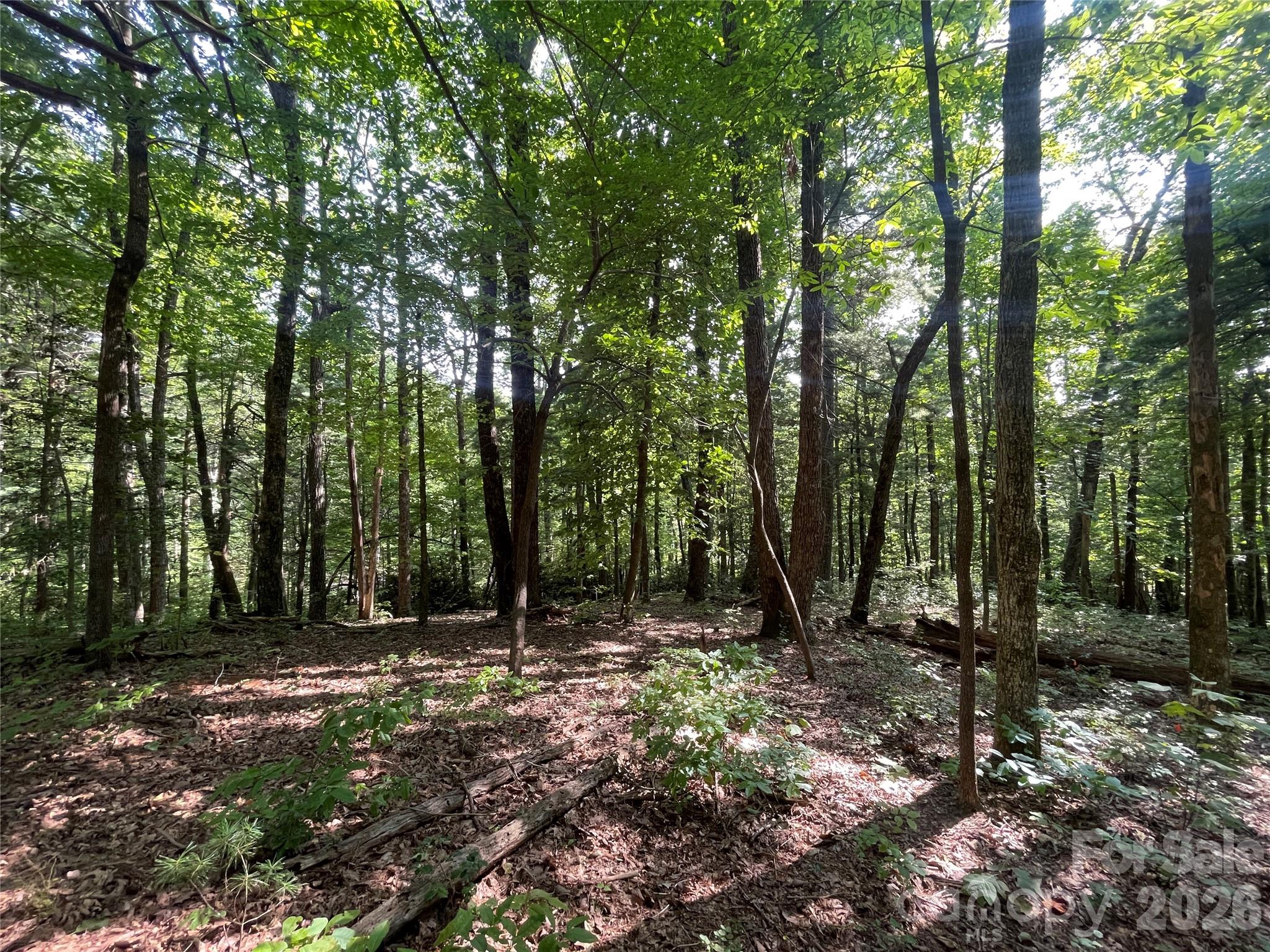 Lot # 21 Haverhill Court Flat Rock NC 28731