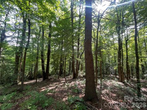Lot # 21 Haverhill Court Flat Rock NC 28731
