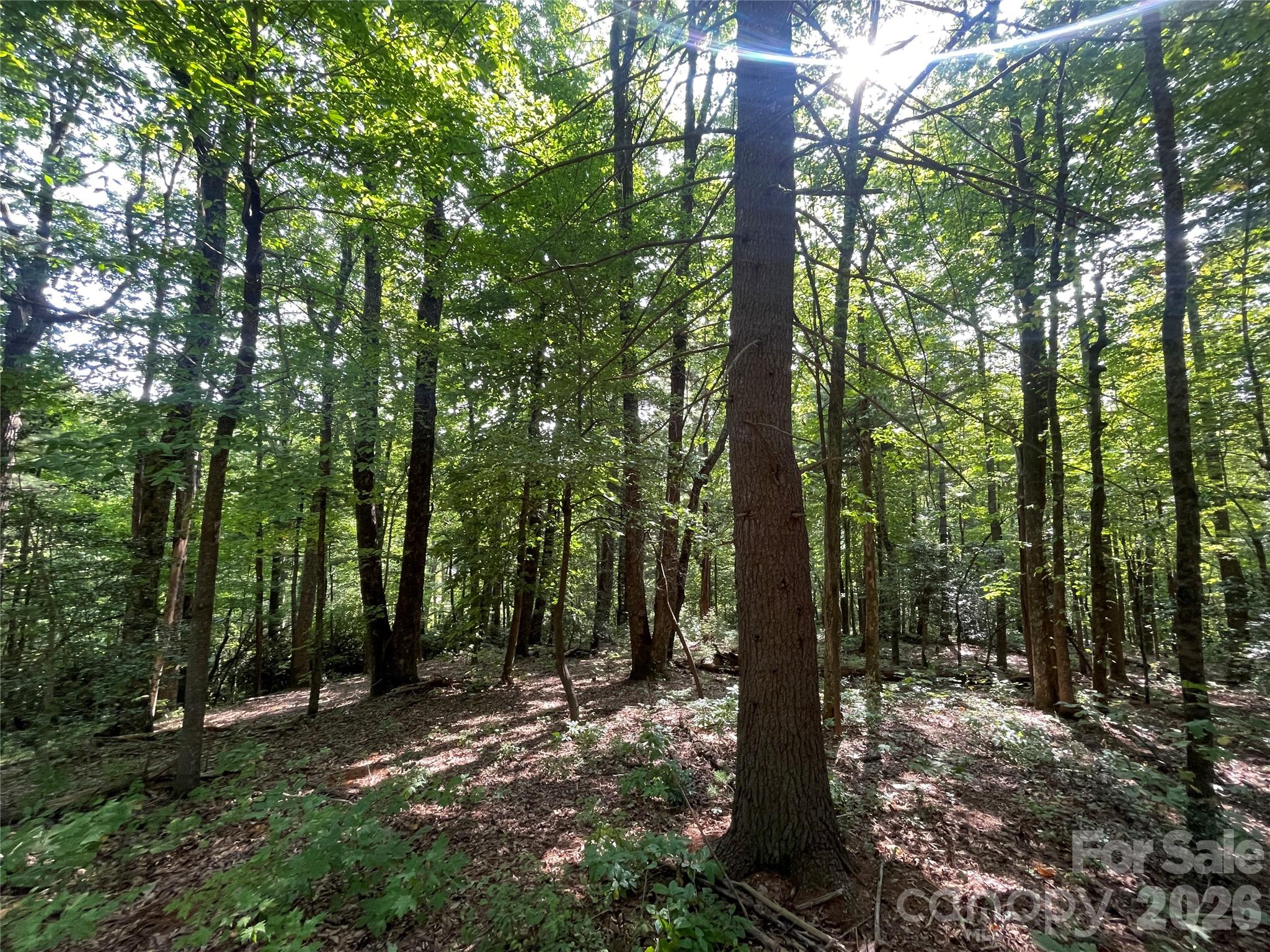 Lot # 21 Haverhill Court Flat Rock NC 28731