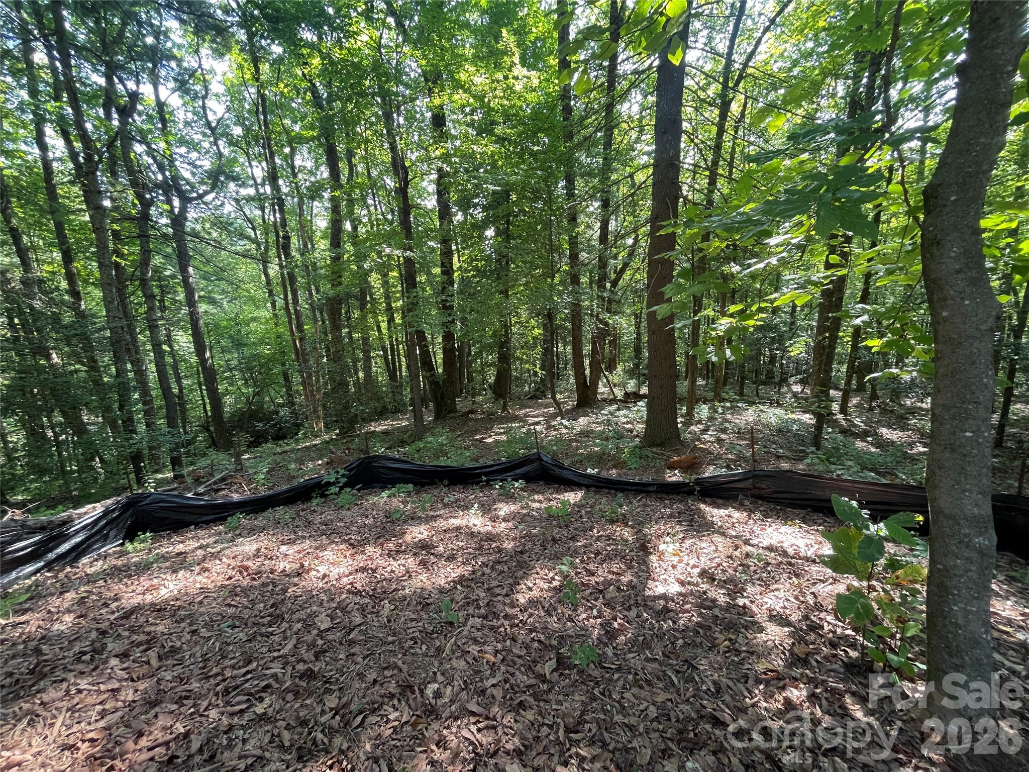 Lot # 21 Haverhill Court Flat Rock NC 28731