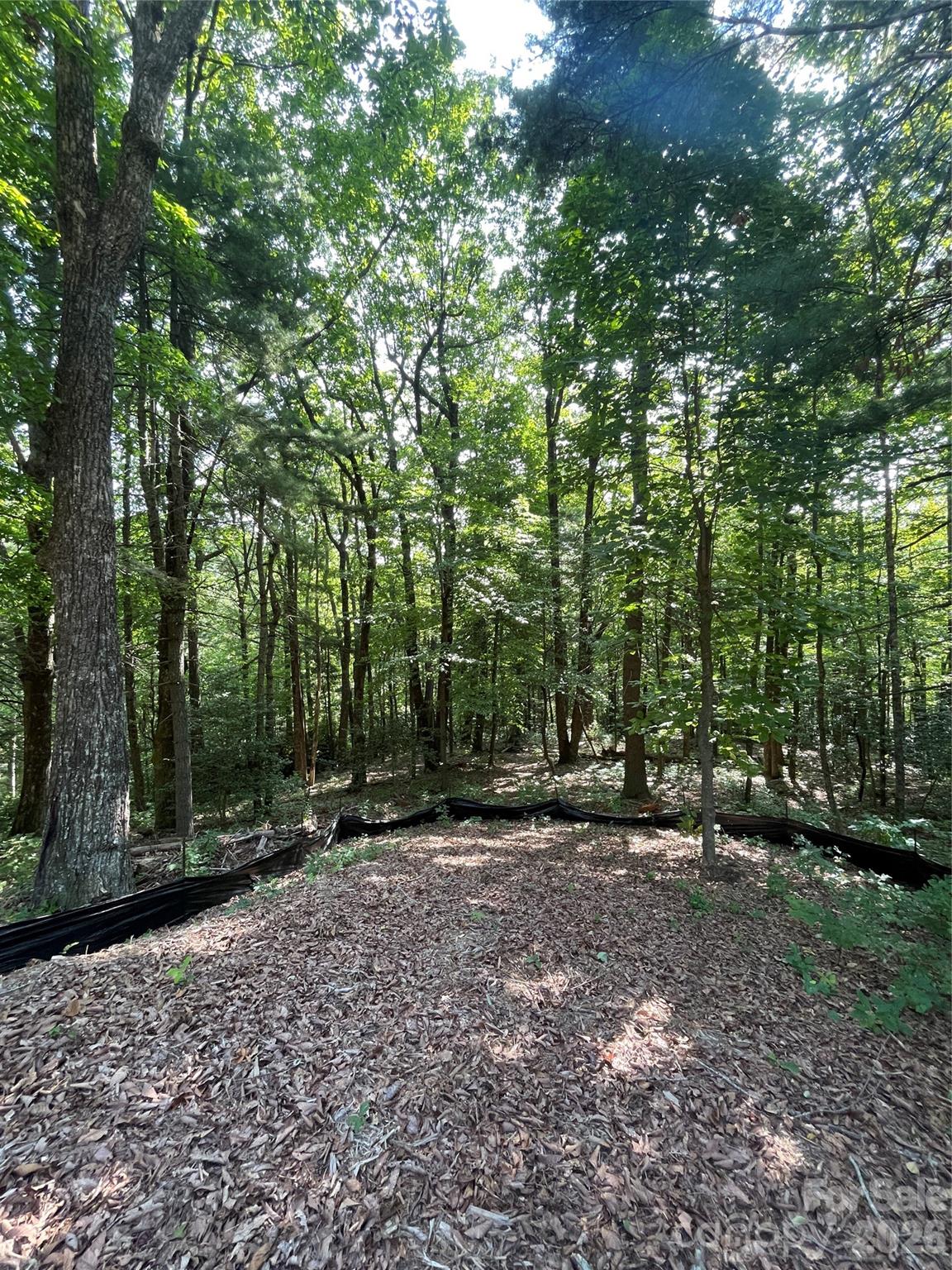 Lot # 21 Haverhill Court Flat Rock NC 28731