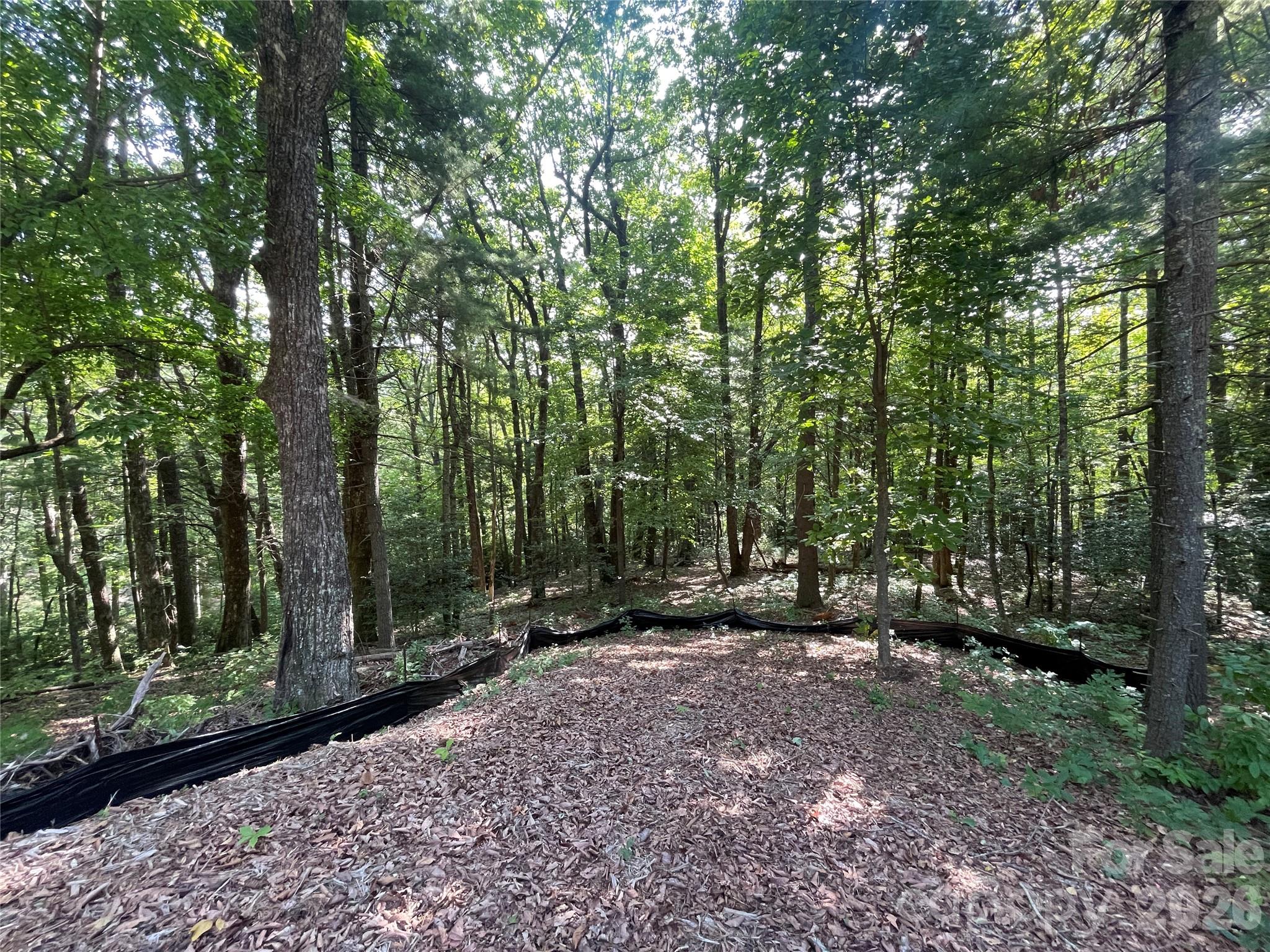 Lot # 21 Haverhill Court Flat Rock NC 28731