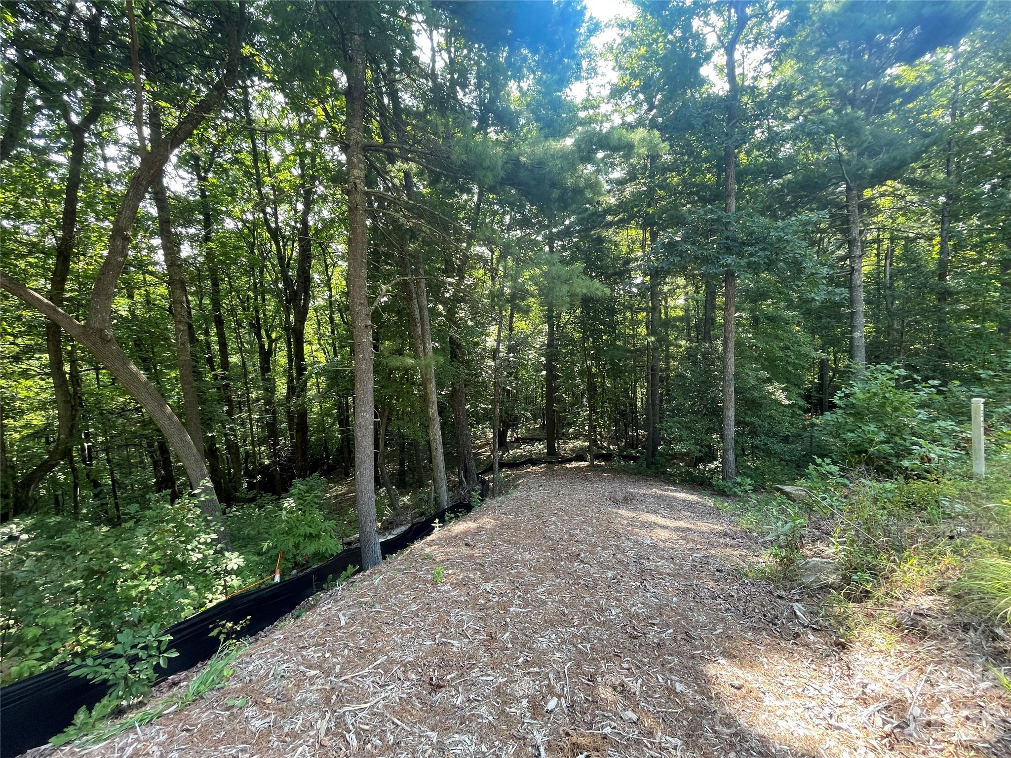 Lot # 21 Haverhill Court Flat Rock NC 28731