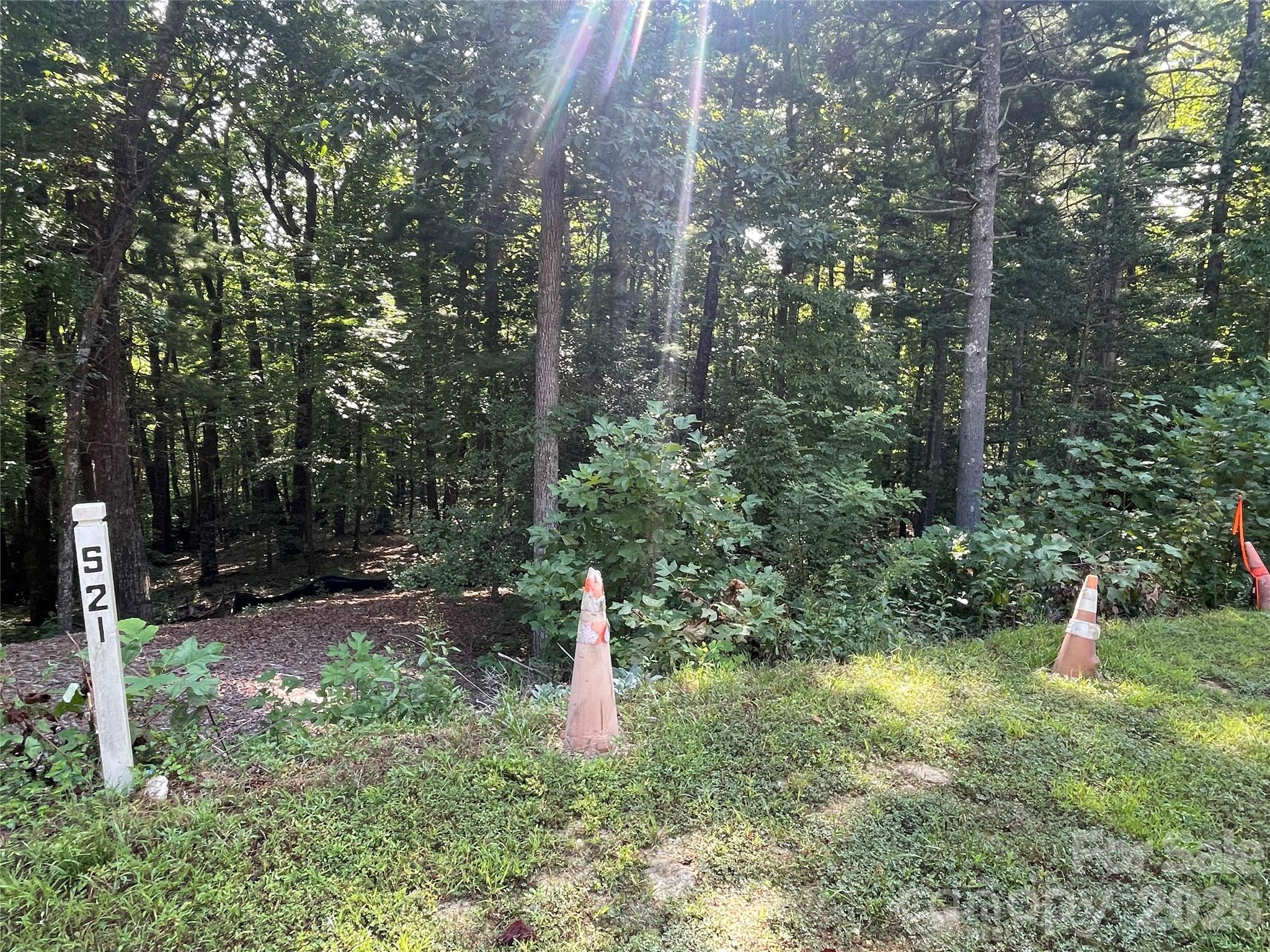 Lot # 21 Haverhill Court Flat Rock NC 28731