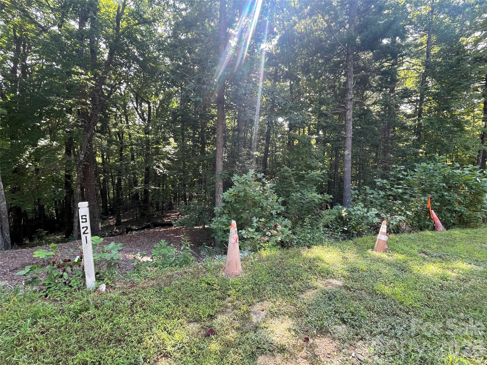 Lot # 21 Haverhill Court Flat Rock NC 28731