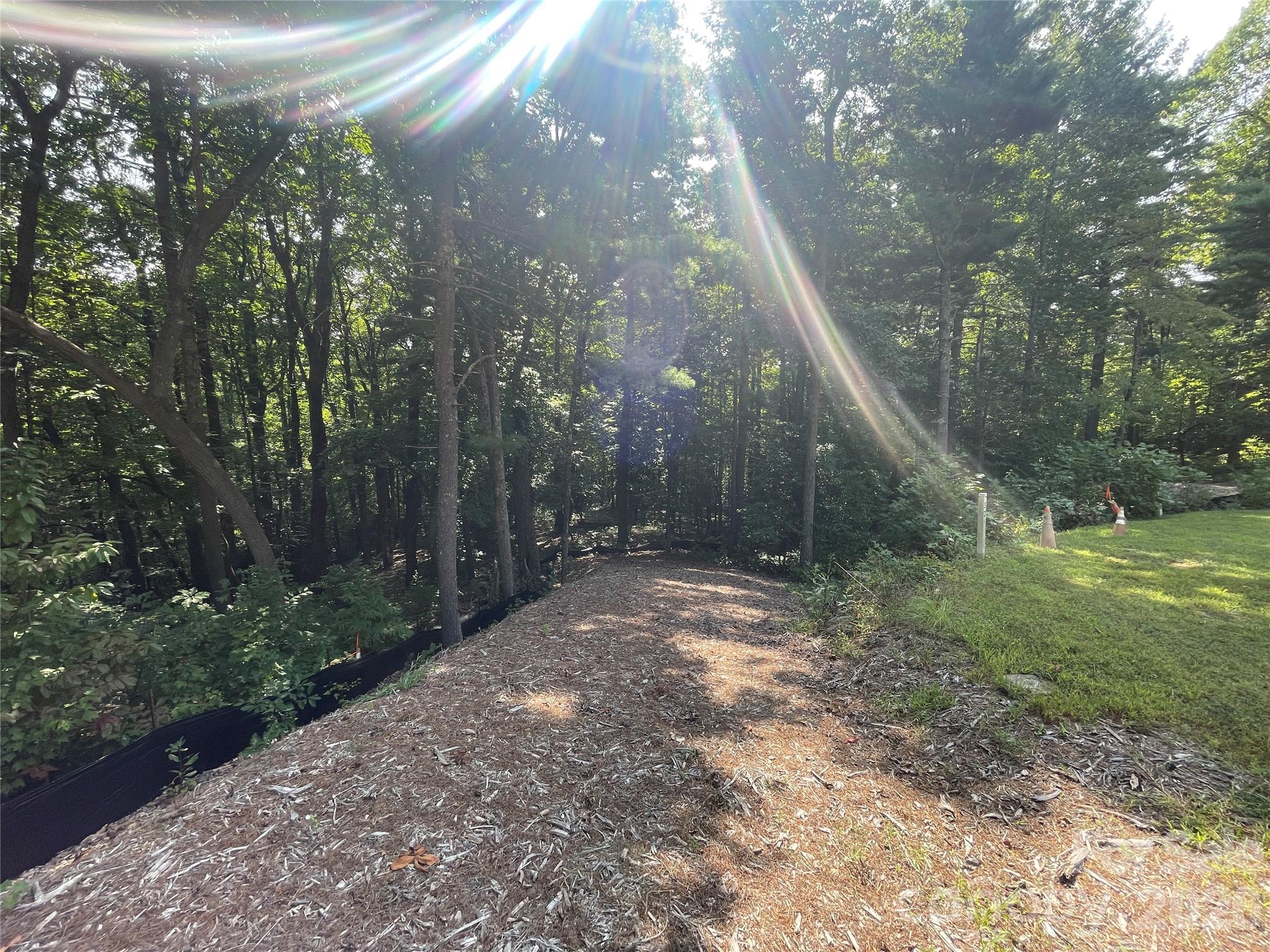 Lot # 21 Haverhill Court Flat Rock NC 28731