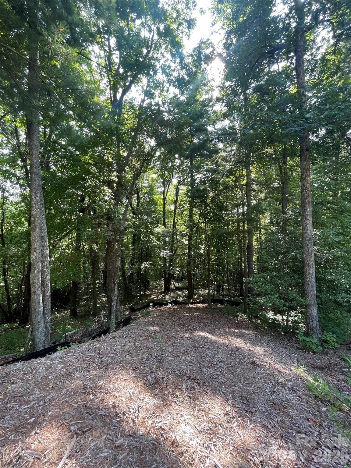 Lot # 21 Haverhill Court Flat Rock NC 28731