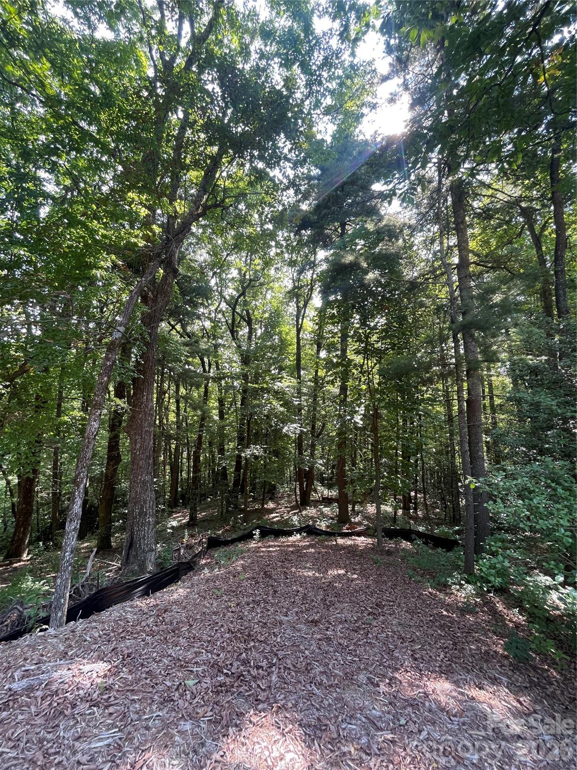 Lot # 21 Haverhill Court Flat Rock NC 28731