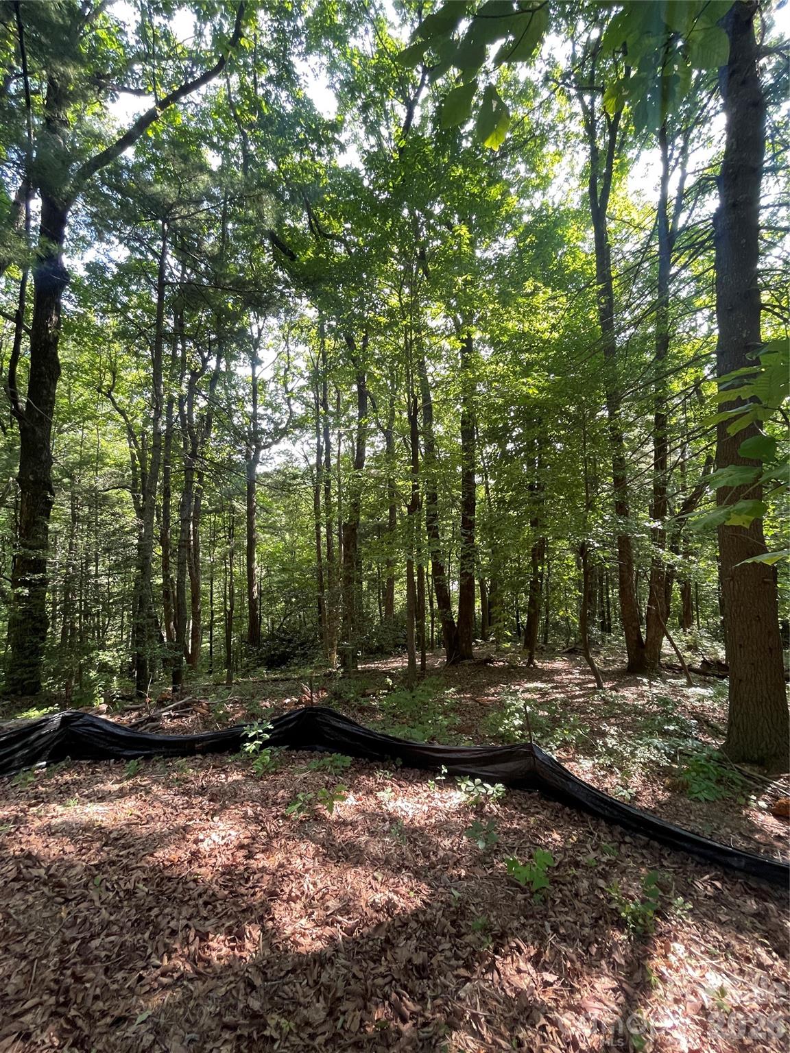 Lot # 21 Haverhill Court Flat Rock NC 28731