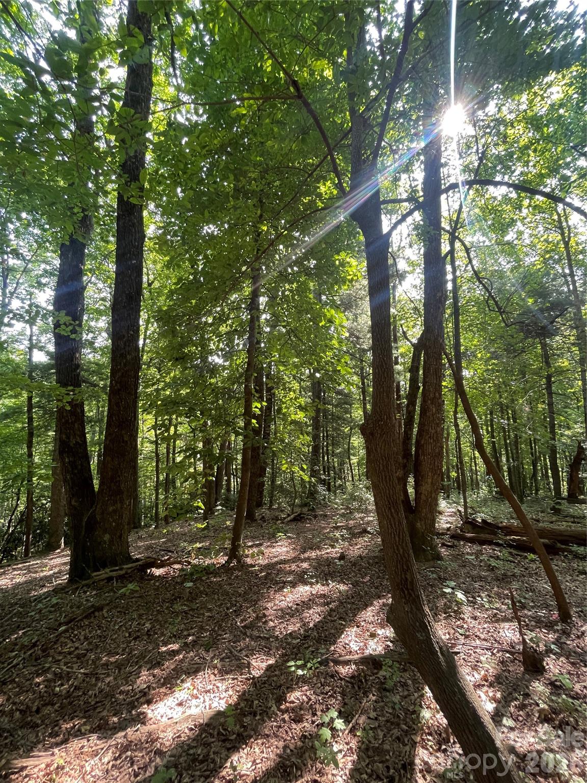 Lot # 21 Haverhill Court Flat Rock NC 28731