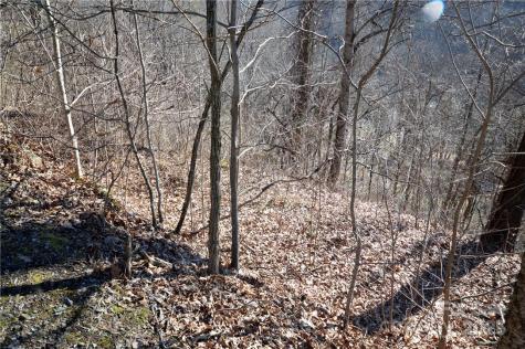 24 Lochmoor Lane Waynesville NC 28785