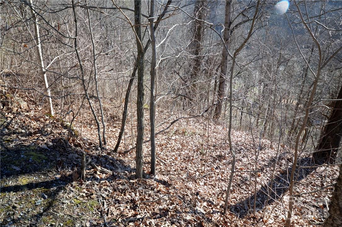 24 Lochmoor Lane Waynesville NC 28785