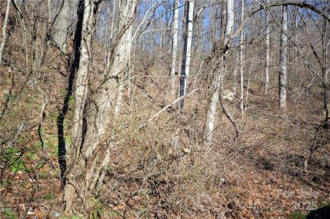24 Lochmoor Lane Waynesville NC 28785