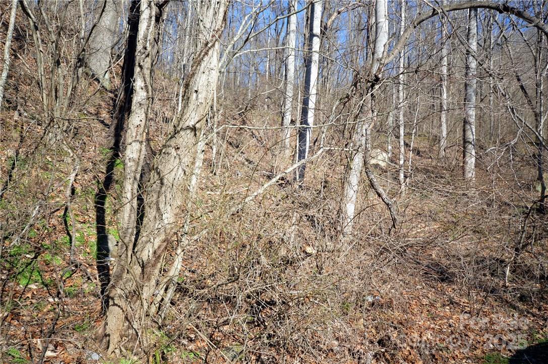 24 Lochmoor Lane Waynesville NC 28785