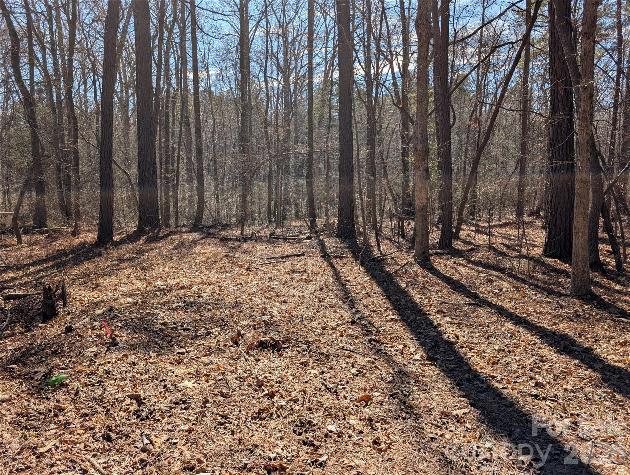 489 & 491 Mimosa Road Rock Hill SC 29730