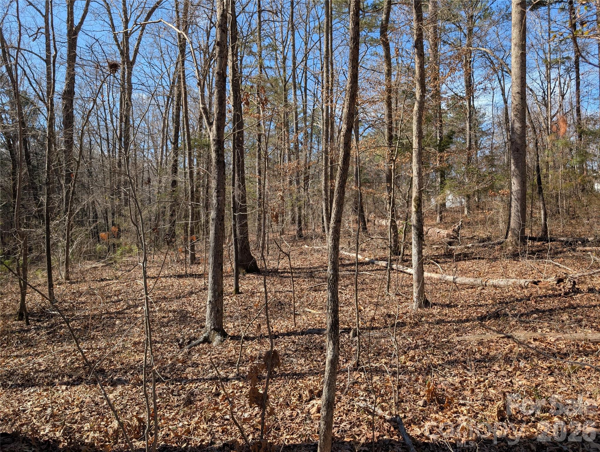 489 & 491 Mimosa Road Rock Hill SC 29730
