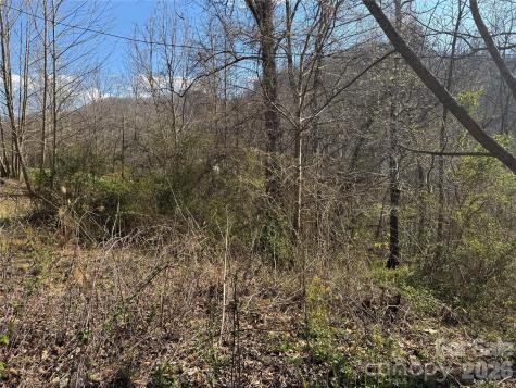 9999 Ox Creek Road Weaverville NC 28787