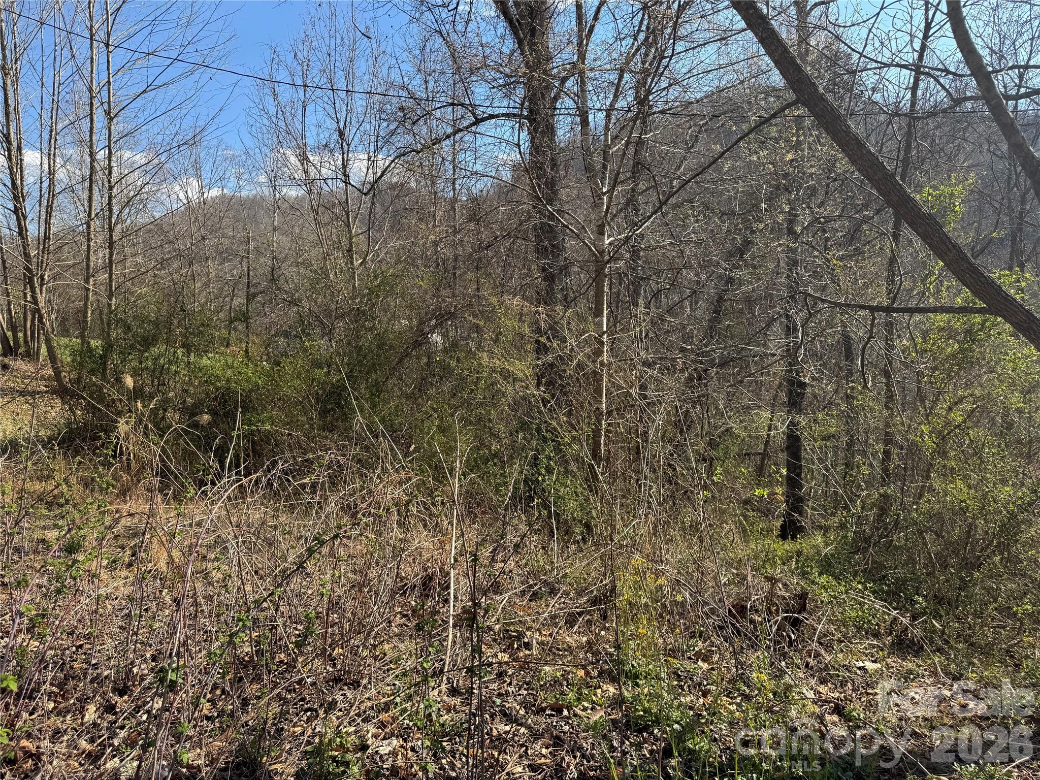 9999 Ox Creek Road Weaverville NC 28787